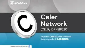 Celer Bridge